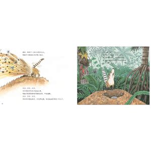 “小浣熊的雨林大冒险”系列：妈妈，你在哪儿 / 便便去哪儿了（全2册，日本科学绘本大师松冈达英科学童话绘本，真实惊险的雨林