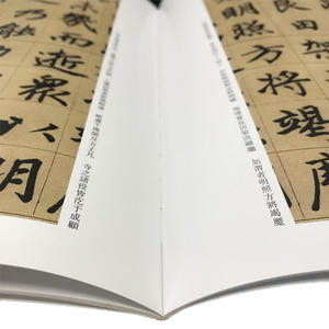 中国*代表性碑帖临摹范本丛书-湖州妙严寺记