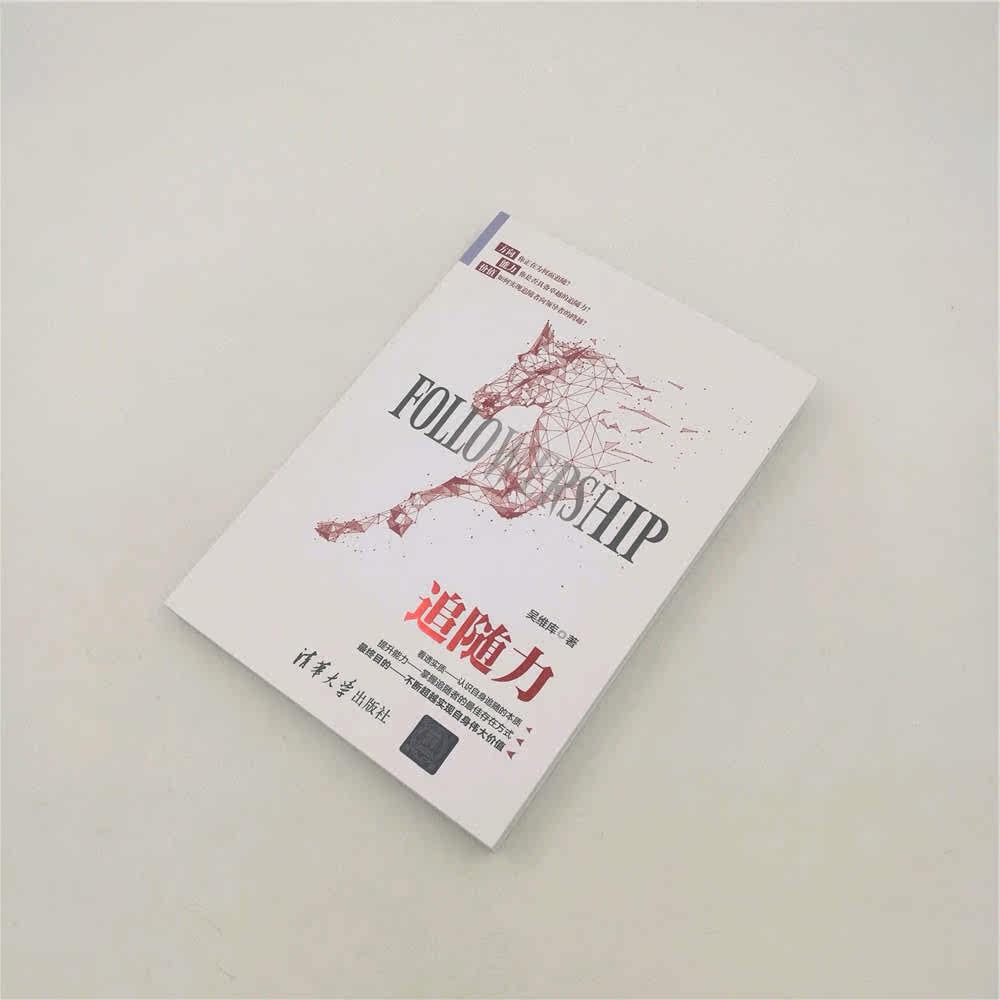 Руководство 追随力