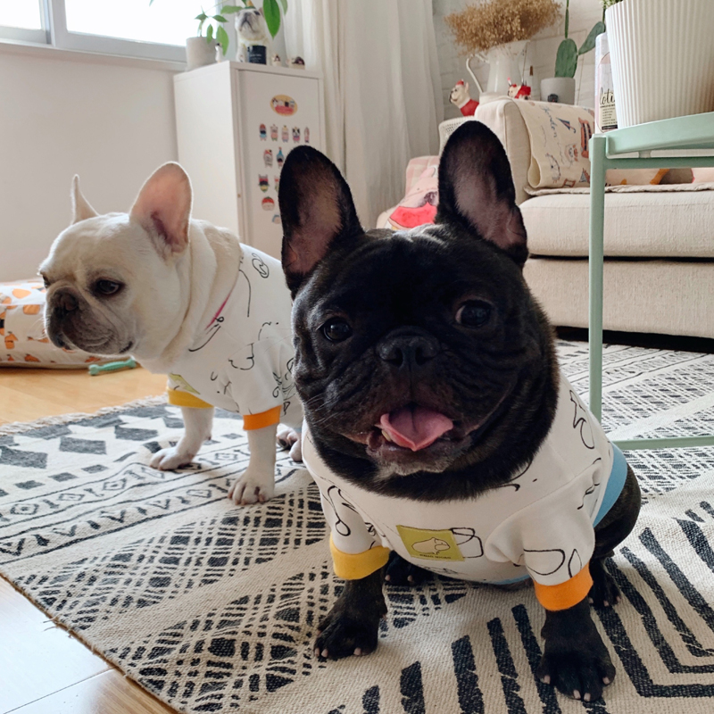 Original design Puppy pet Fou clothes Bagbrother Fat Dog Spring and Autumn Beat Undershirt White Spot