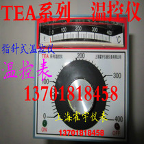 Temperature control instrument TEA temperature controller E 0-400 degrees K temperature control meter pointer type Temperature Indicator Regulator