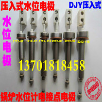 Press-in water level gauge electric contact electrode water level Electrode boiler level water level electrode DJY2212-115