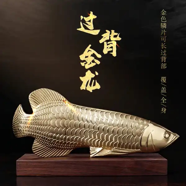 Yu Yuexiang Dragon Gate crosses the back of Jinlong Fu Fu Fu Pure Copper