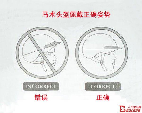 Article équitation - Ref 1382163 Image 34