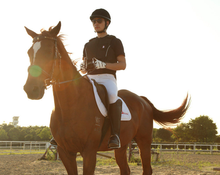 Article équitation pour homme BASLONG - Ref 1381702 Image 32