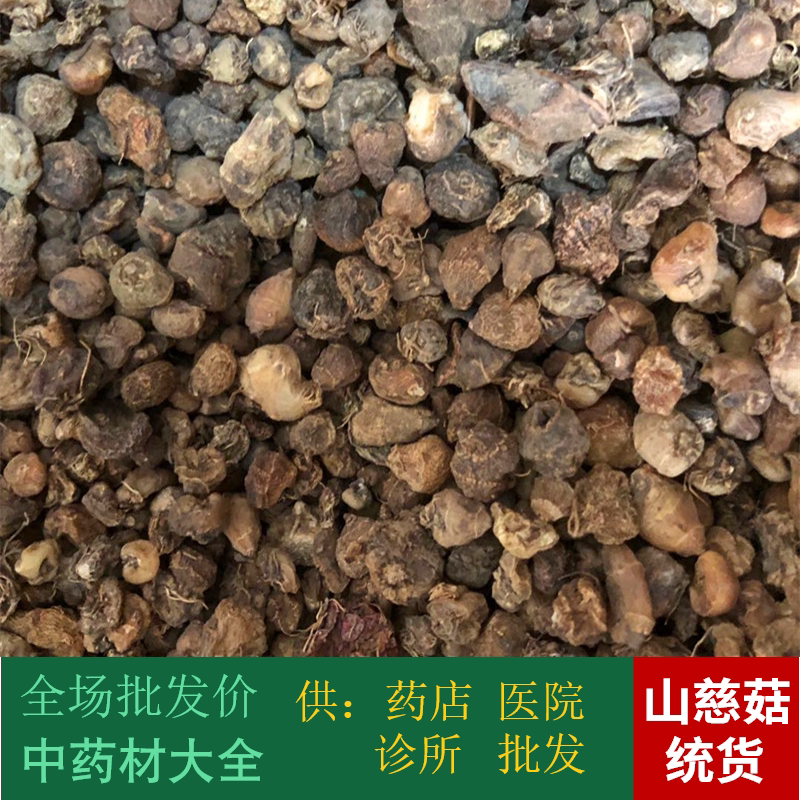 Country of Anguo Chinese herbal medicine batch no sulphur Mountain Cium mushrooms original color Mountain Cium mushrooms 1 kg Fat umi 2 pieces