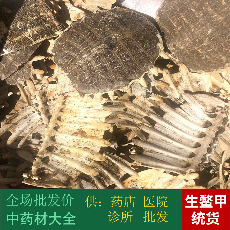 An Anguo Chinese herbal medicine batch market raw turtle beetle wild turtle beetle 1 kg hair turnkey 2 pieces