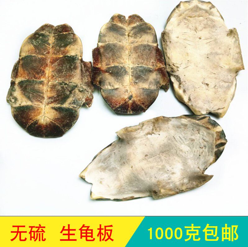 Anguo Chinese herbal medicine market No sulphur raw turtle tortoise shell turtle shell river tortoise whole go to meat 1 kg 