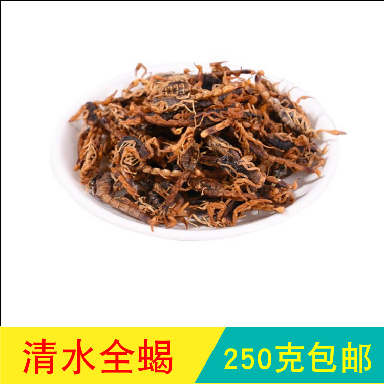 Anguo Chinese herbal medicine market No sulphur small brine total scorpion wild clean water full worm dry scorpion 250 gr