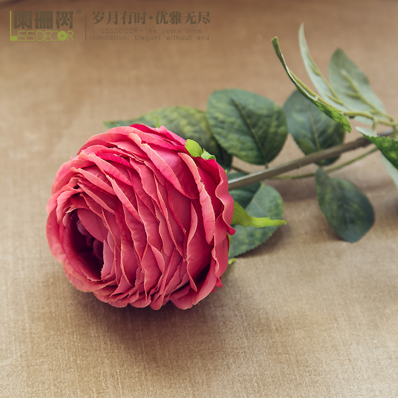 ��ɺ��ǧ��õ�󻨶�ɻ�F239����