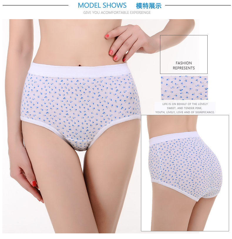 Slip Moyen-âge en coton - Ref 643131 Image 16