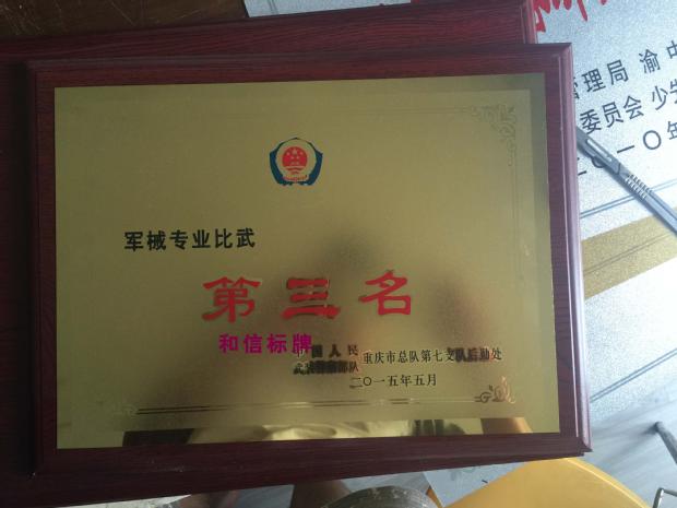 Sand Gold Medal License Plaque to be a Wooden Tool