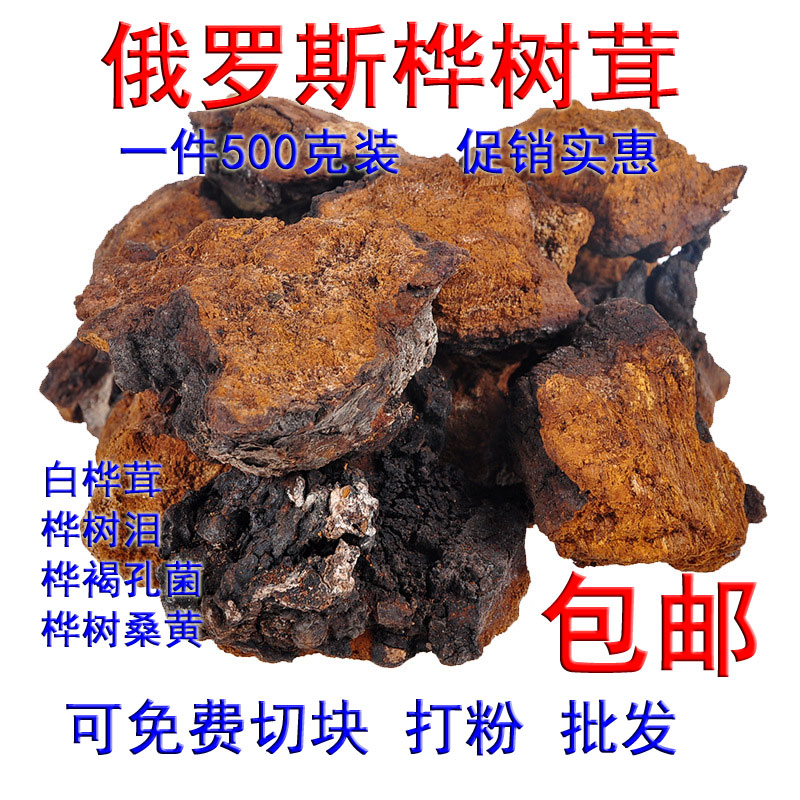 Russian Chaga Brown Foraminifera Wild Birch Mushroom White Chaga Powder Birch Mulberry Yellow Authentic Birch Tears Authentic Birch Mushroom