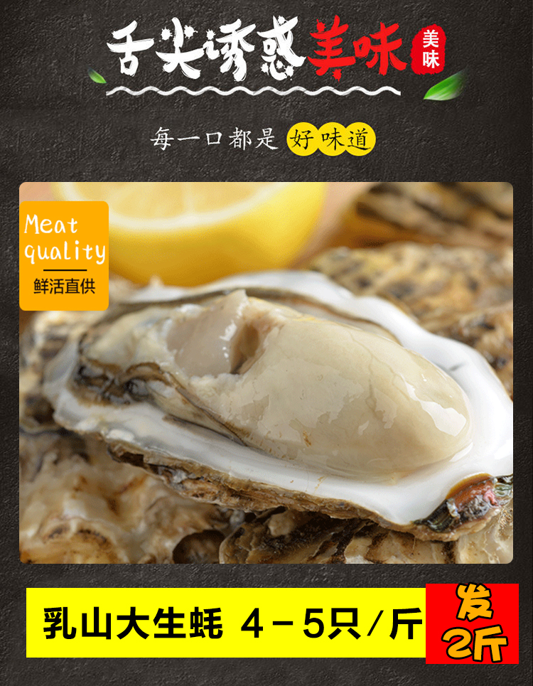 鲜活小海鲜贝类组合：海洋的味道，一口鲜美直达心田！