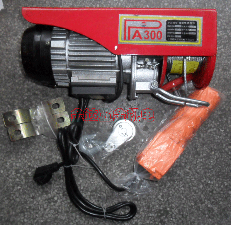 Mini Electric Crane Mini Hoist PA200*12M Hoist Double Hook 200KG Single Phase Electric