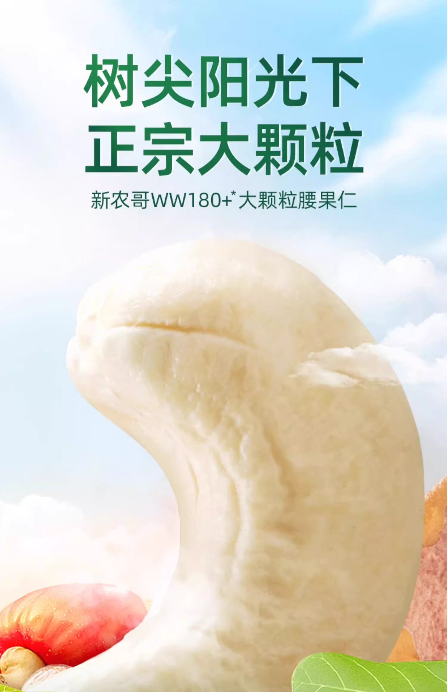 新农哥 大颗粒原味腰果仁 550g 59元包邮 值值值-买手聚集的地方