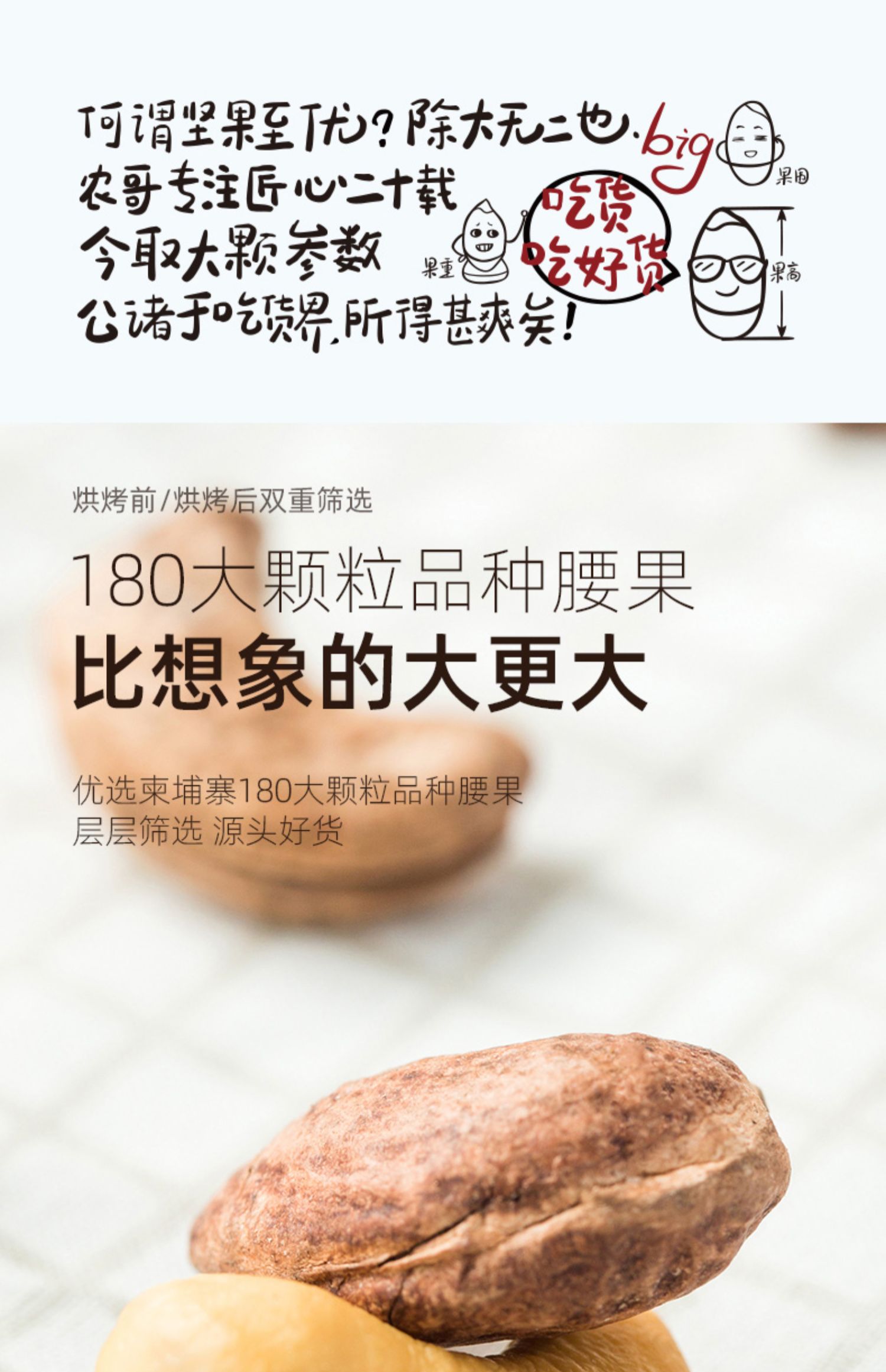 【新农哥】A180级紫衣腰果500g/罐