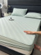 Summer Class a Antibacterial Cooling Ice Silk Mat Three-Piece Set with High Polymer Bed Sheet, Suitable for Home Use and Machine Washable