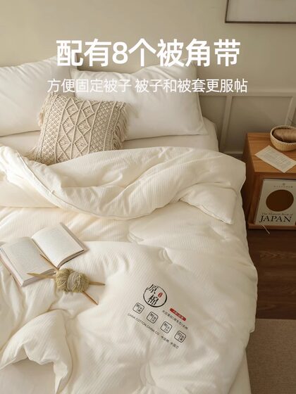 Muji Class a 55% Soybean Fiber Quilt, Winter Quilt Core, Spring and Autumn Cotton Quilt, Thickened for Winter, Warm and Suitable for All Seasons