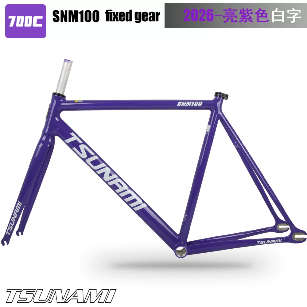 TSUNAMI Tsunami Speed ​​Nami SNM100 Pioneer Dead Flying Aluminum Alloy Racing Track Bicycle Frame