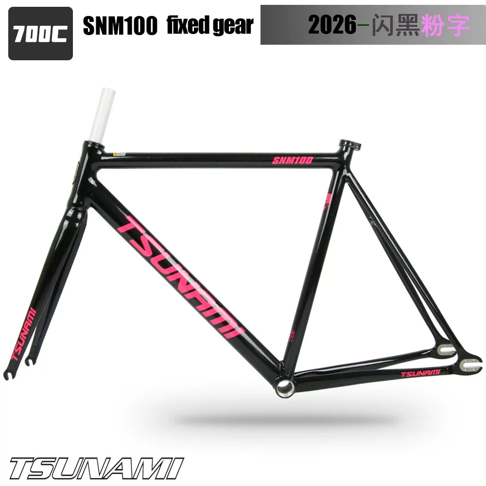 TSUNAMI Tsunami Speed ​​Nami SNM100 Pioneer Dead Flying Aluminum Alloy Racing Track Bicycle Frame