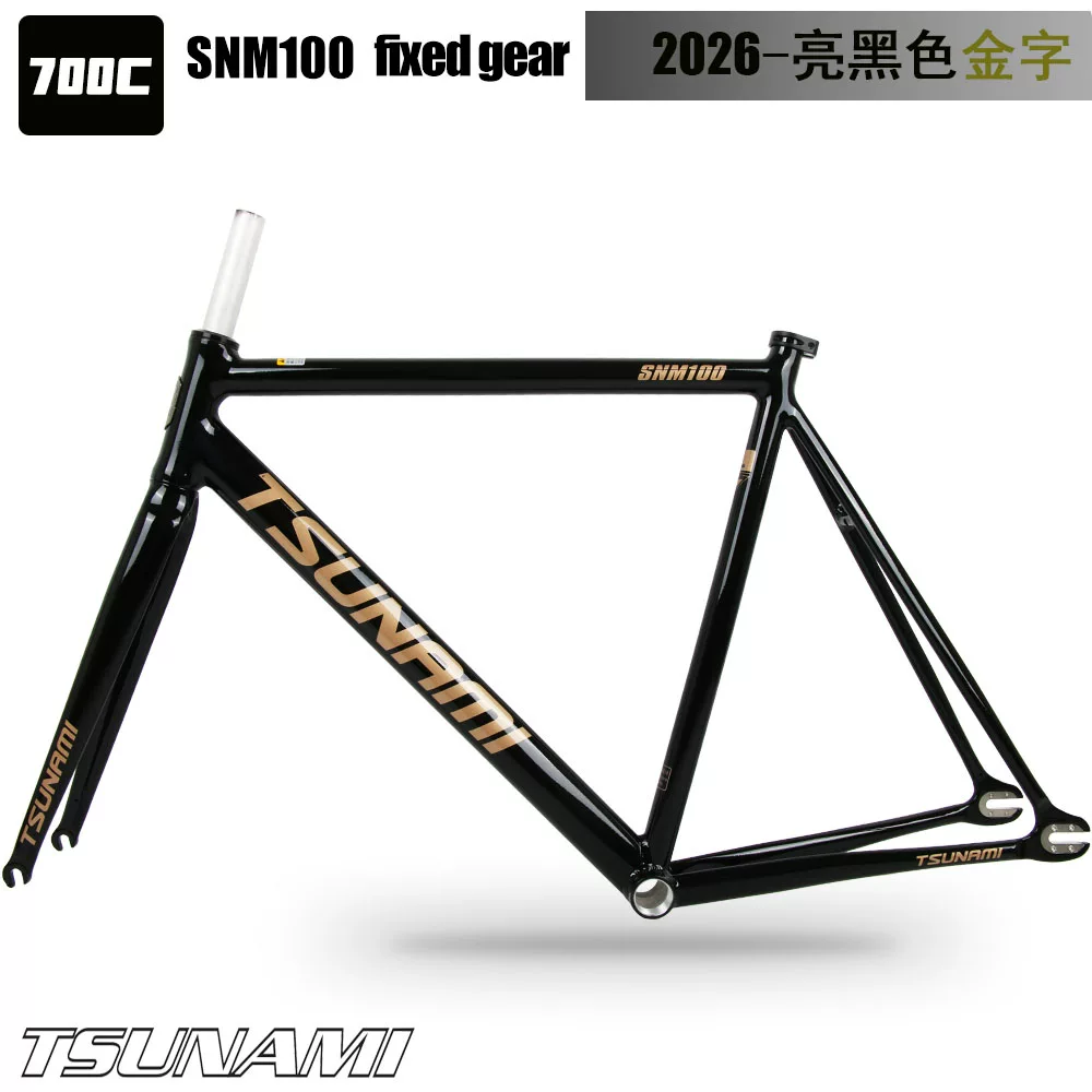 TSUNAMI Tsunami Speed ​​Nami SNM100 Pioneer Dead Flying Aluminum Alloy Racing Track Bicycle Frame