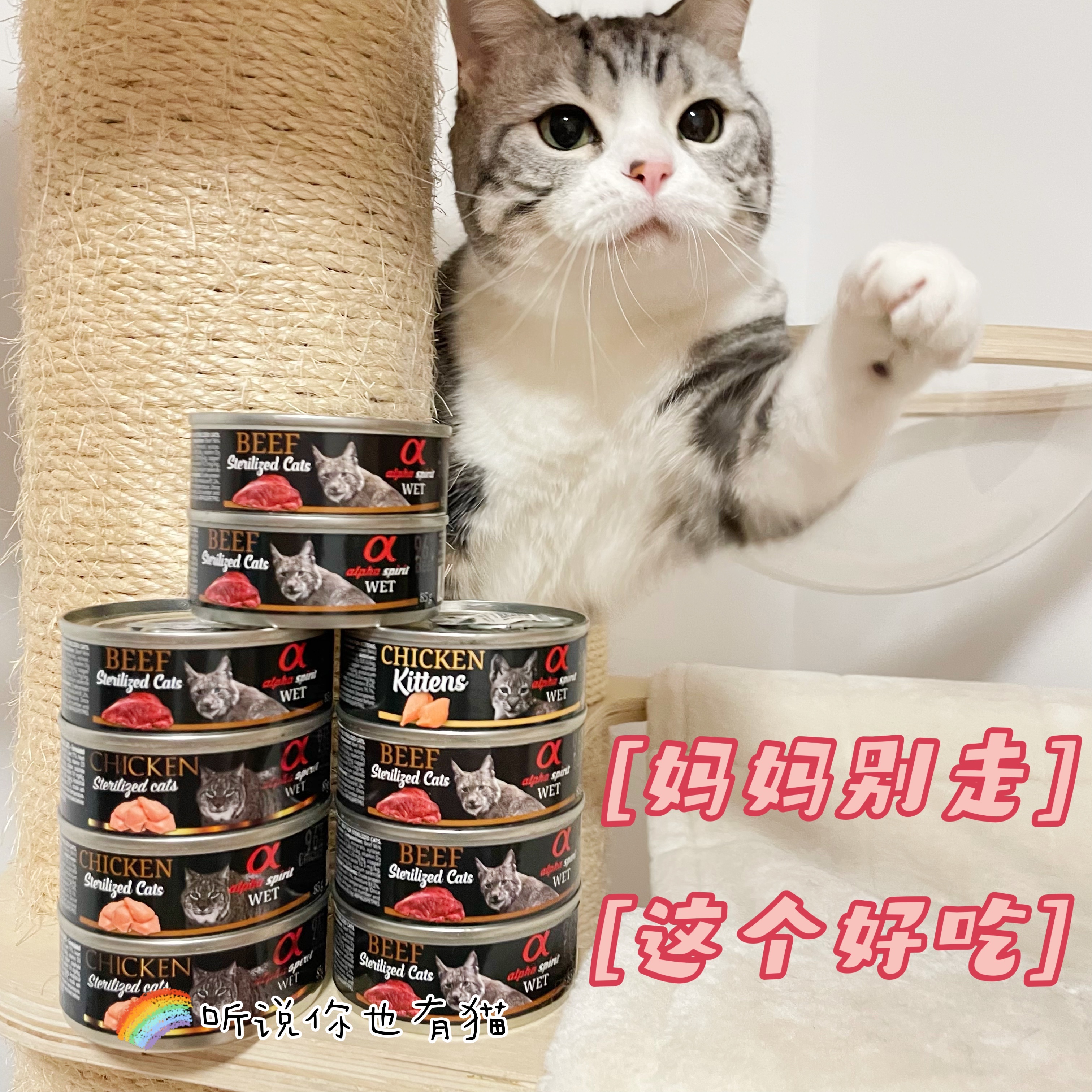 I hear that you have cats as well). Spain's Alpha Alfa Elfael cat staple food cans have no valley to become young cats