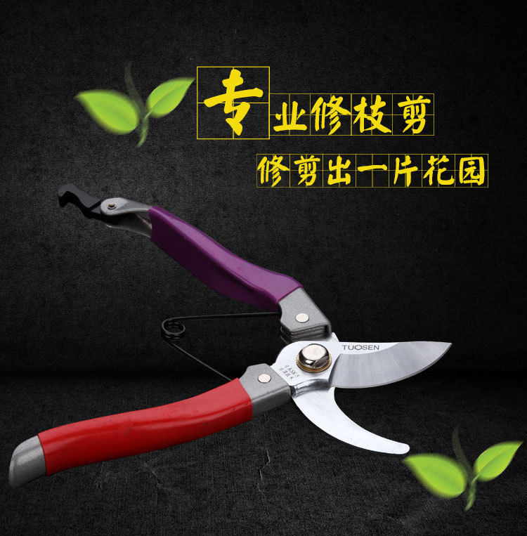 Сад вырезан 1 деталь page_01