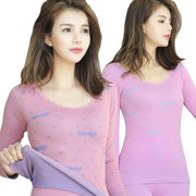 Qiuyi Qiuku phù hợp với phụ nữ vòng cổ anh đào in cao đàn hồi liền mạch cơ thể đáy áo cơ thể định hình đồ lót nhiệt phần mỏng