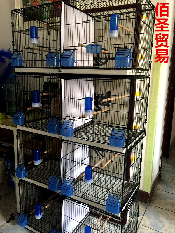 100 St Trade Snapback Cage Hibiscus Bird Breeding Cage Jade Bird Jade Gold Green Peacock Breeding Cage Partition Bird Cage Large Flying Cage