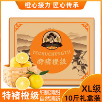 (10kg) Yunnan special orange grade Chu Shijian ice sugar orange solid new fruit storage official flagship