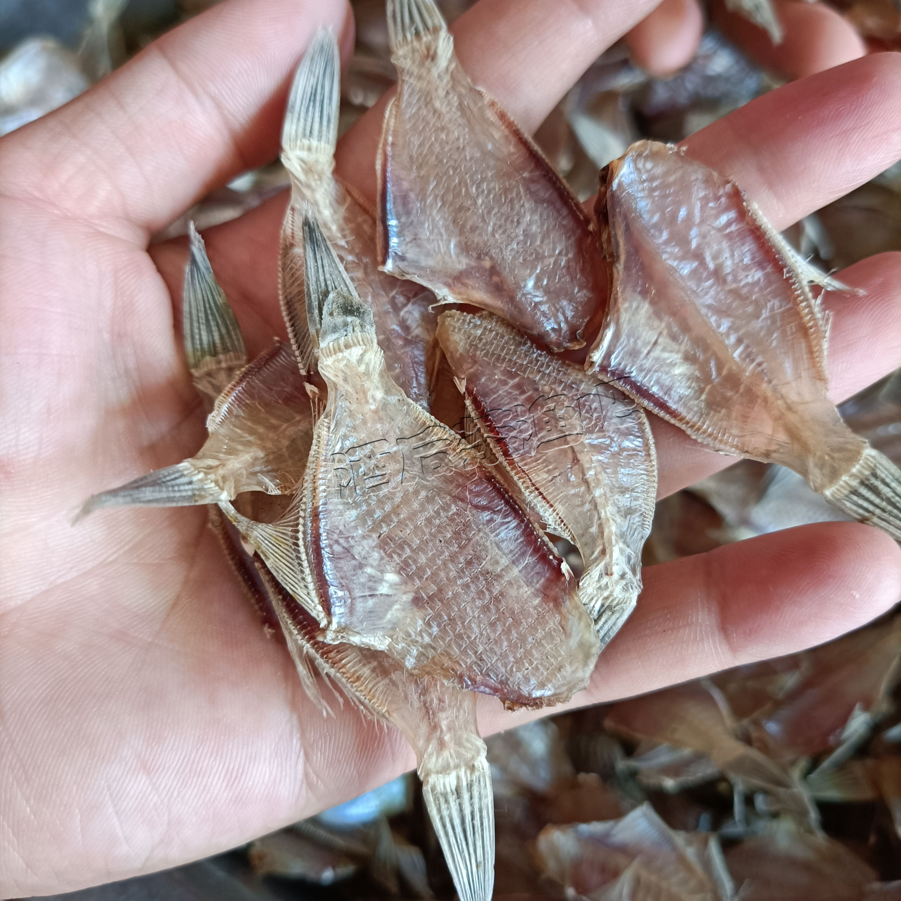 剝皮魚乾自家淡曬海魚乾迪仔脯微鹹魚幹新鮮特仔魚馬面魚乾貨1斤 剝皮魚乾自家淡曬海魚乾迪仔脯微鹹魚幹新鮮特仔魚馬面魚乾貨1斤