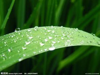 The adopted girl's heart is full of blood and sleep is not good. Easy to wake up.