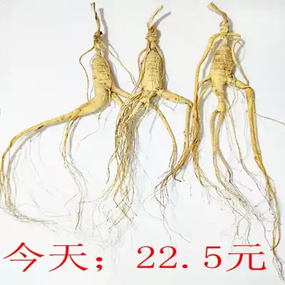 Mountain ginseng Northeast forest lower ginseng Changbai Mountain forest lower ginseng Moving mountain ginseng 10 grams or so More than 13 years