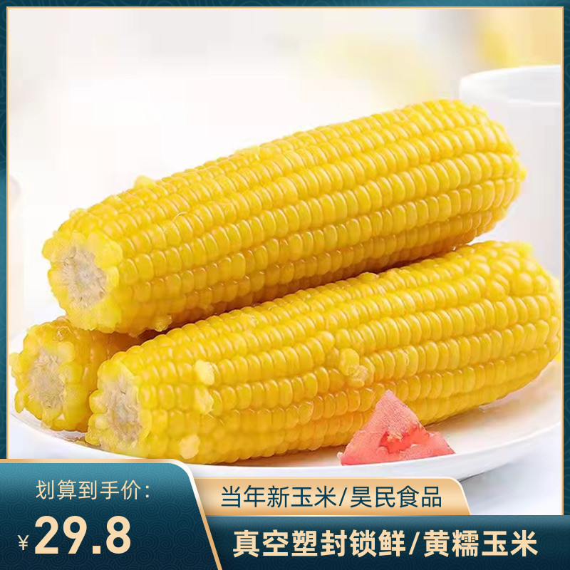 Heilongjiang Hatami corn Jiamusi Fresh sweet glutinous corn 8 northeast sticky bud rice vacuum plastic packaging yellow corn