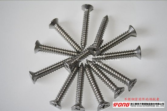 GB846 304 stainless steel flat head self-tapping screw countersunk head self-tapping ST2 2 * 6 5 9 5 13 16 16 19