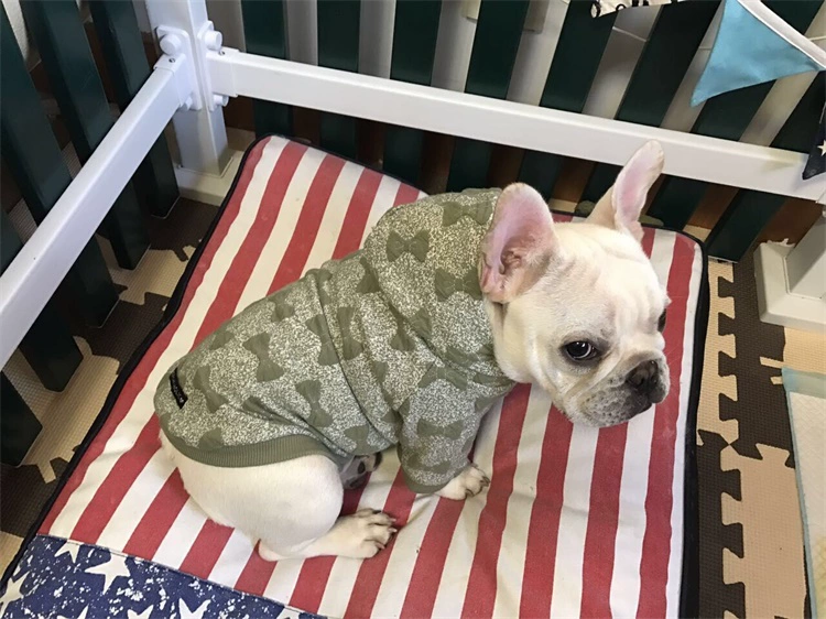 Luật chiến đấu Bago Bulldog quần áo thú cưng chó nhỏ và vừa mùa thu và mùa đông tải chó áo len schnauzer keki quần áo mùa thu - Quần áo & phụ kiện thú cưng