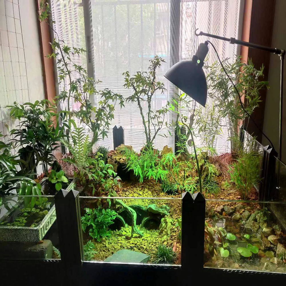 Huangyuan turtle Anyuan turtle ecological breeding environment Amphibious turtle tank landscaping package Turtle tank Turtle box plant mat material