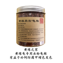 Yellow edge turtle An edge turtle High calcium insect powder Turtle food Closed shell turtle Semi-water turtle Young turtle Flame color hair color insect powder Turtle food