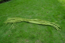 Woven strap back rope all bamboo rope