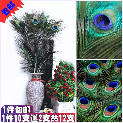 Pure natural real peacock hair home living room flower arrangement bottle flower arrangement headdress decoration peacock feather long feathers 25-100CM