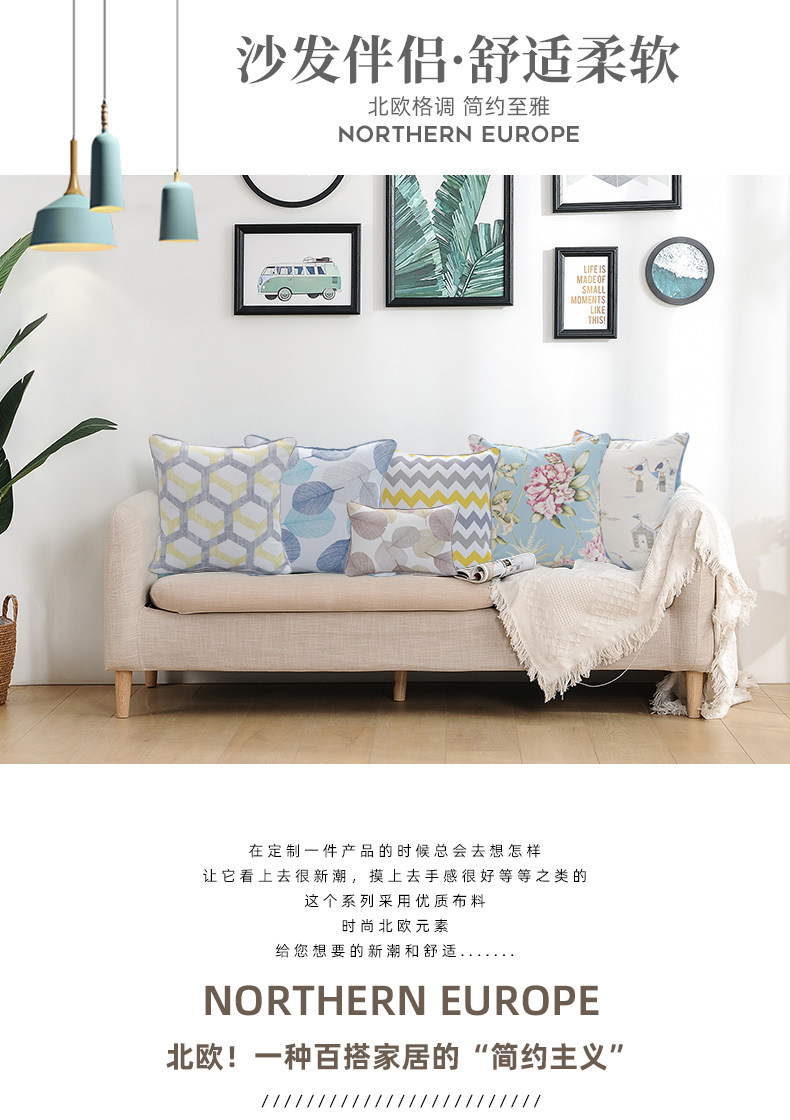 Pillow_01.jpg