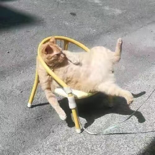 韩可儿童装