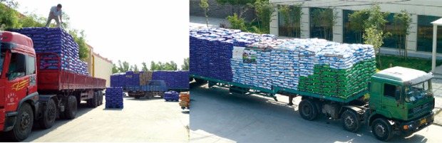 Aier giải pháp trong nhà cho mèo vào thức ăn chính của mèo 500g để loại bỏ lông ruột bốn gói tỉnh thuận lợi hơn catsrang
