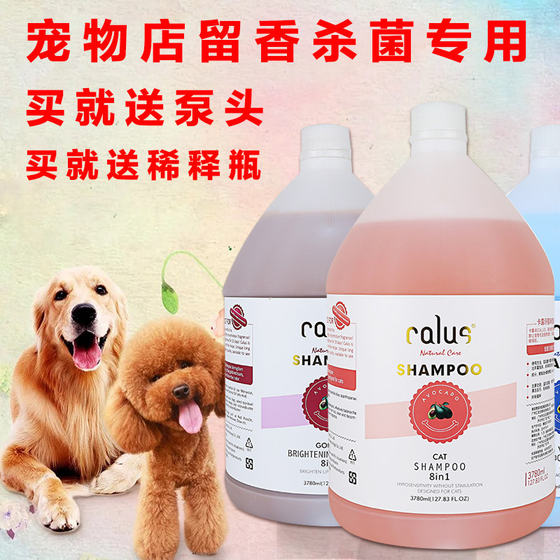 Cardew Poetry Dogs Body Wash LARGE BARREL PET BALSAMIC POTEDISSA MOYER HAZY SHOWER GEL BATH LOTION MEME