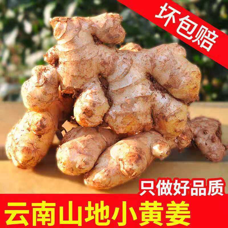 Ginger fresh and small yellow ginger 10 catty with box Yunnan mountains planting earth ginger tender ginger moon ginger 2 vegetables 5 catties
