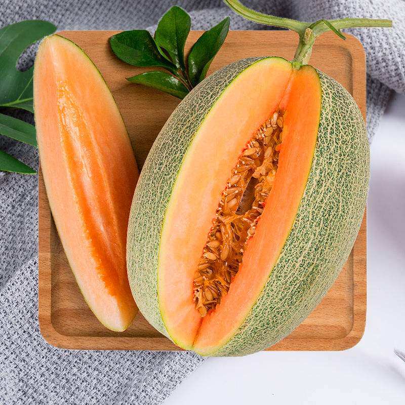 Hainan fruit fresh Hami melon is picked in season Melon crispy melon cantaloupe netted melon Xizhou honeydew melon