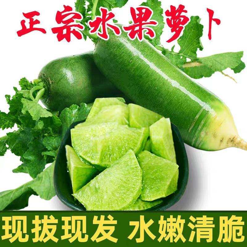 Weifang Fruit Roperin 10 catties When the season is sweet and crisp fresh 3 Weiwei County Roof radish green radish raw to eat vegetables Roof 5