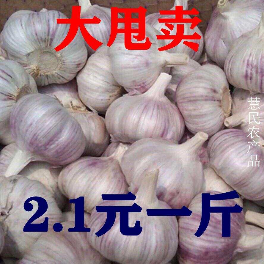 Ultra low-priced new garlic dried garlic garlic head 5 10 catty of Shandong Purple White Peel Garlic New Dry Garlic White Garlic 3 catty