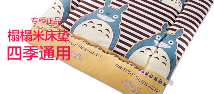 1.8m 1.5 ra khỏi giường nệm pad dày giường xốp 0,9 m ký túc xá học sinh trung học 1.2m đơn tatami - Nệm nệm gấp 1m6